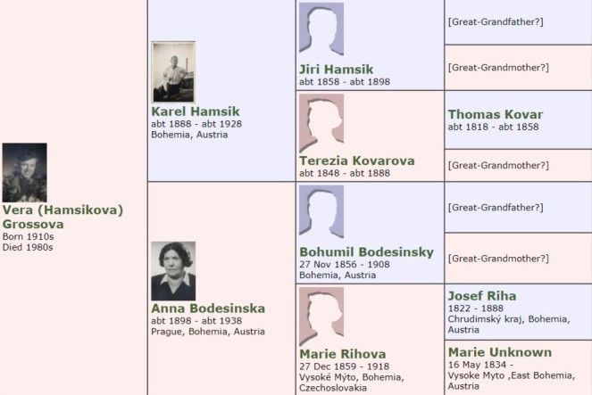 Vera Hamsikova Family Tree
